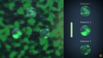 Multi-path interferometry QTec®