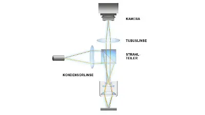 Messprinzip und Aufbau der stroboskopischen Videomikroskopie