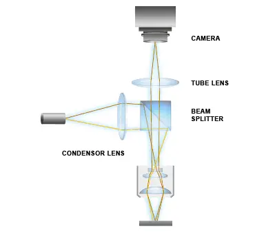 Basic principle of stroboscopic video microscopy